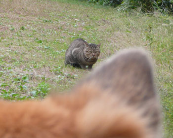 �ɂ�݂���