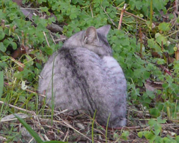 �w��������̐}