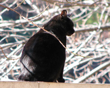 ���ł������킢��