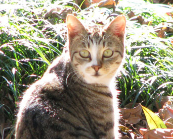 �U�������