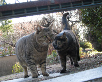 ������R���r