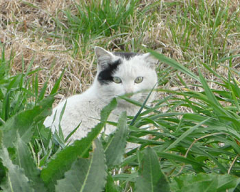 ���[�E�E�E