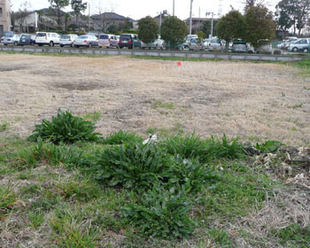 �������茩�Ă�