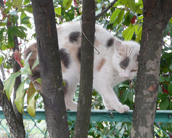 �������ɂ�����������