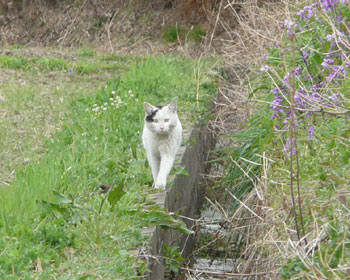 �ߊ���Ă���