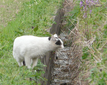 �����C�Â��O�ɔ��