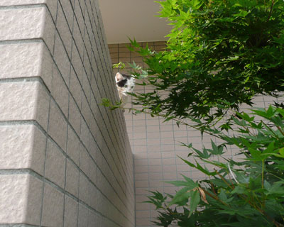 �����Ȃ猢�ɋC�Â���Ȃ�