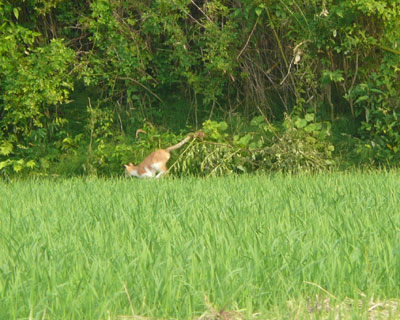 ������˂�