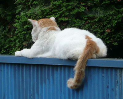 ���Ȃ�߂����ǋC�Â��Ȃ�