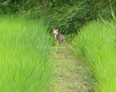 �܂�������˂�