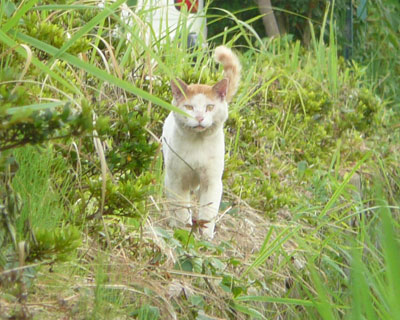 �C�Â��đ��苎��