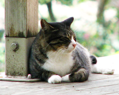 ������˂�