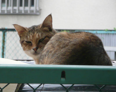 �z�[���Z���^�[�̕��u�ł��낮