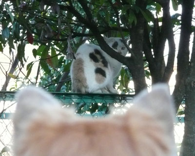 �댯���@���ē�����