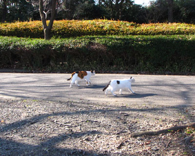 �A�ꋎ���Ă�����