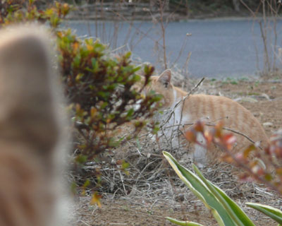 �������̃o�J��������ł͋C�Â�