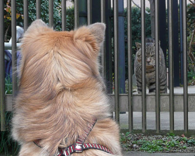 �����Ă���ɂ��