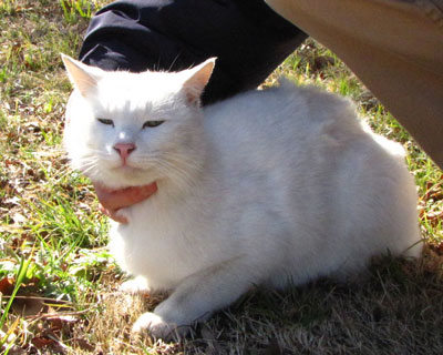 �Ԏ����đ����Ă���˂�