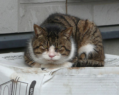 �������l�R