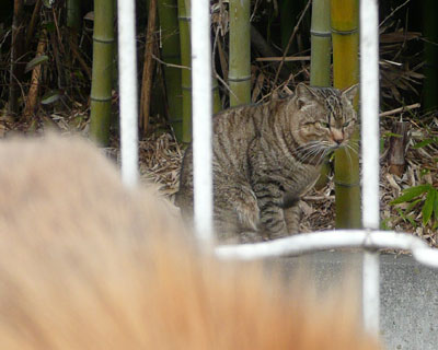 �����Ɠ����n�߂�