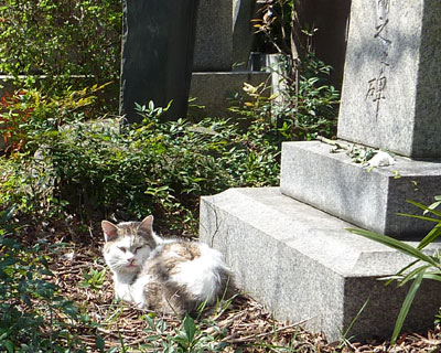 ��΂͂�����������