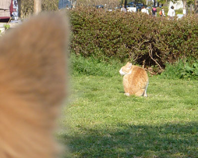 �������Ă��S�R���C