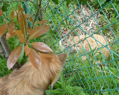 ���ߋ����łɂ�܂��