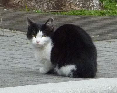 �������������킢���q