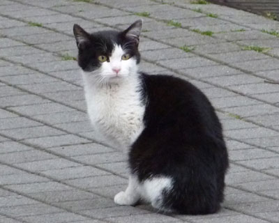 ���������ĐL�т�