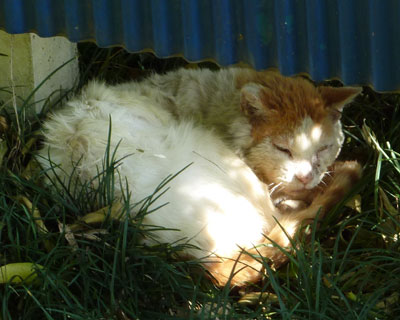 �悭�����ŐQ�Ă���