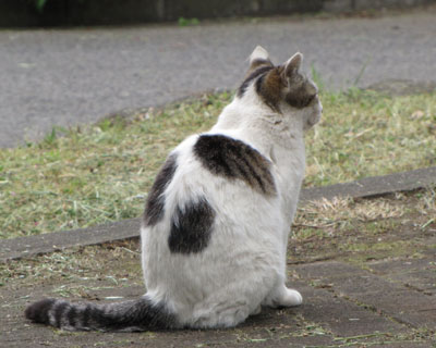 �����ۂ����r���[