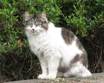 ������ƃ��C���h