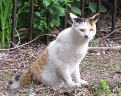 �~�P����������