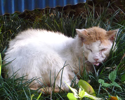 ���񂱂ꂪ�Ōォ���Ǝv���ċL�O�B�e