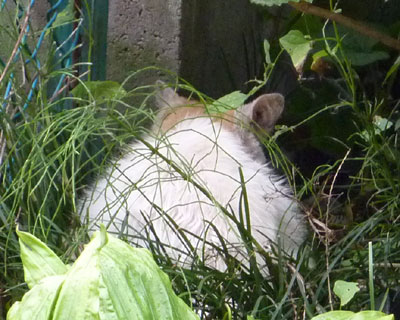 ���悢�悩�Ǝv������