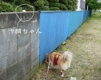 �s���g��������Ȃ�