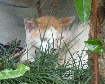 ���񂾂񊵂�Ă���