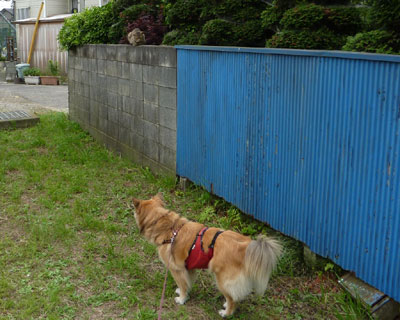 �����܂ŗ��Ă킩��Ȃ��̂͂�����������