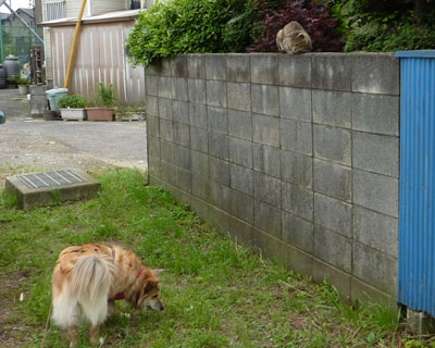 �ǂ����Ă񂾂�