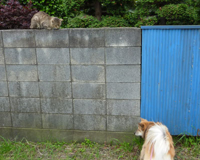 �C�Â����񂶂�Ȃ������̂���