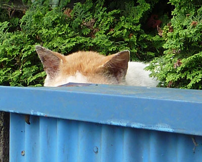 �����B��������r���[