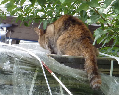 �z�[���Z���^�[�̉ו��̏�ł��낢�ł���