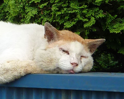 �����`��������