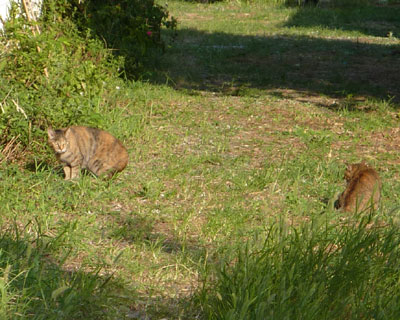 ���������炵����l