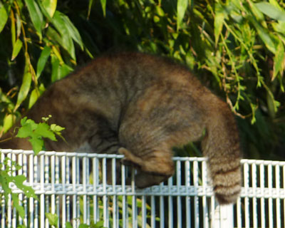 �_�b�V���œ�����