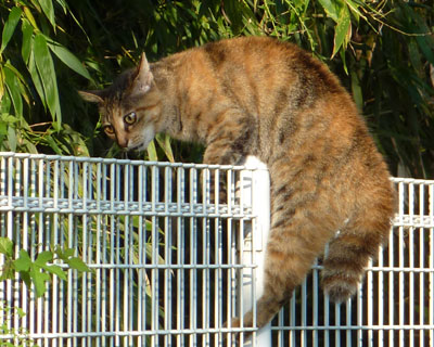 ������l��������