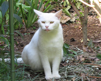 �オ�o���Ԕ�����