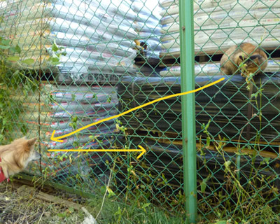 ����������Ȃ�