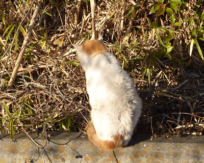 ���Ȃ��͂�����H