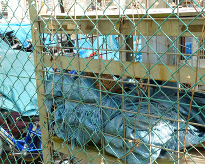 �z�[���Z���^�[���ԏ�̒I